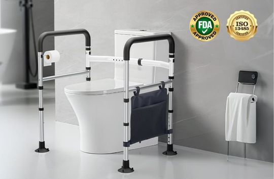 How to Choose the Right Toilet Safety Rails for Your Home | WHLICKS