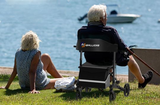 Which Is Better, A Walker or A Rollator | WHLICKS