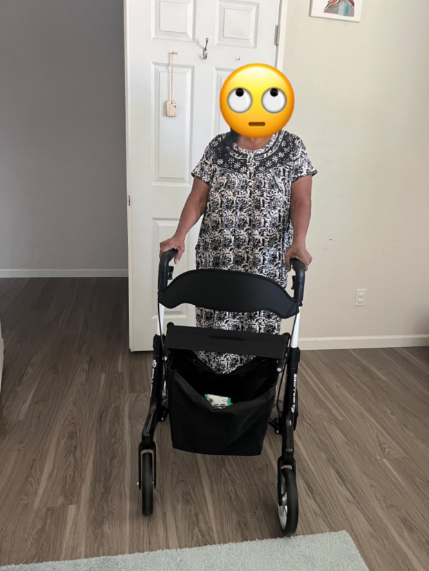 Why My Mom Finally Loves Her Walker — Our Story with the Whlicks Ultra-Light Carbon Rollator