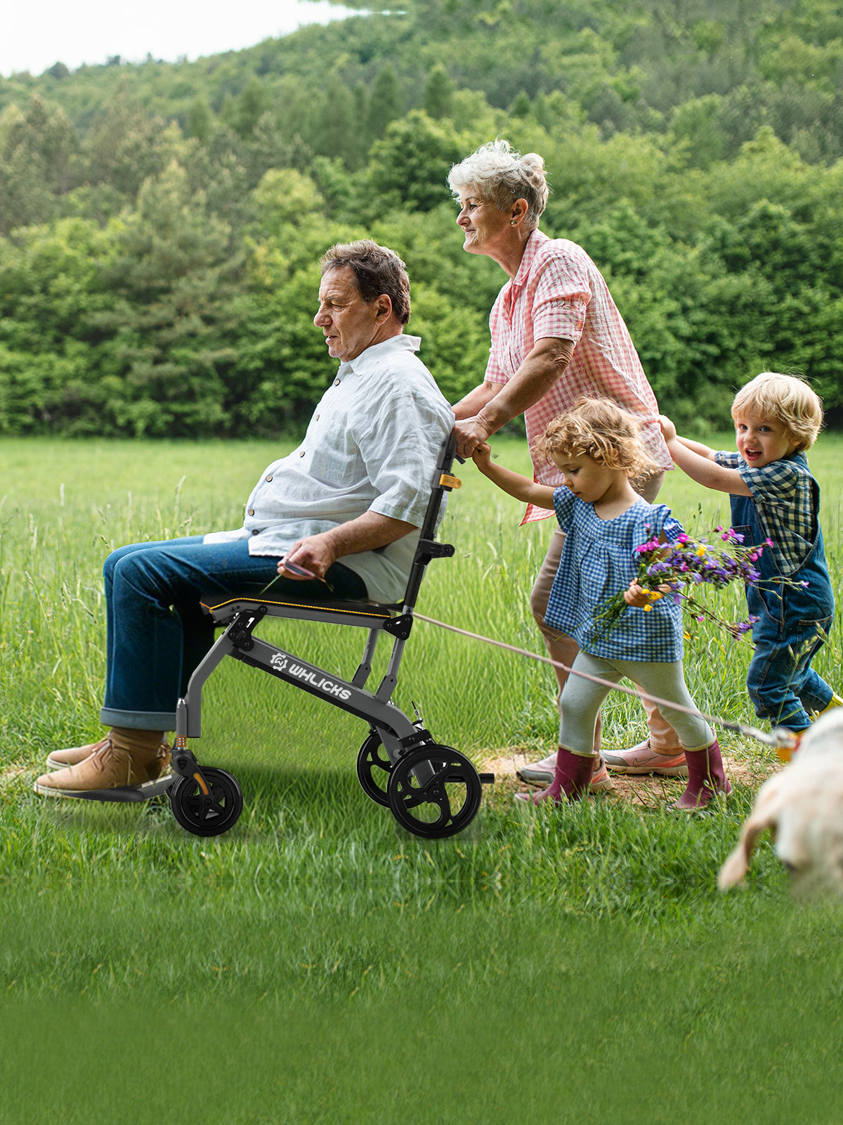 mechanical wheelchair